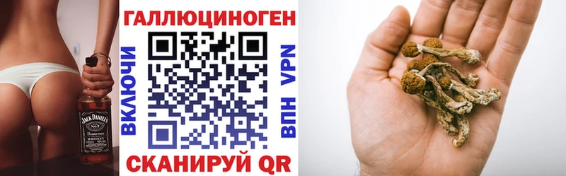дарнет шоп  Нытва  Псилоцибиновые грибы прущие грибы 